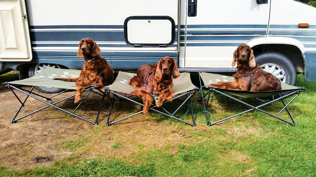 12 Things About Camping With Your Dogs That You Will Never Read In Any Book.